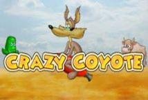 Crazy Coyote Slot Review